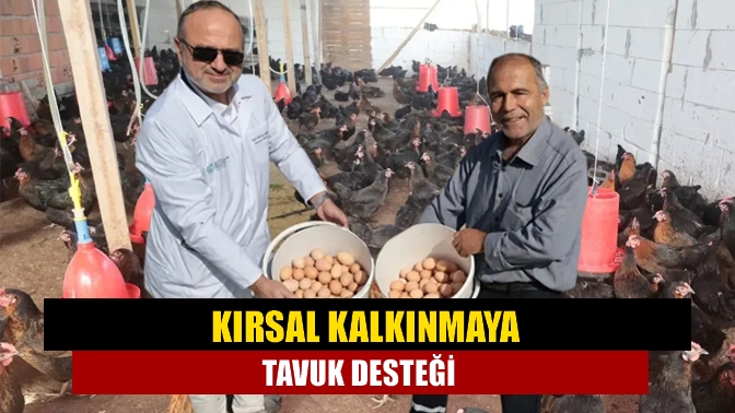 Kırsal kalkınmaya tavuk desteği