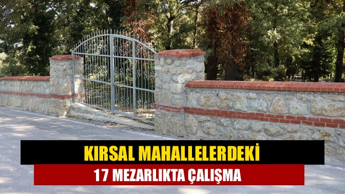 Kırsal mahallelerdeki 17 mezarlıkta çalışma