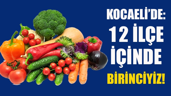 Kocaeli’de: 12 ilçe içinde birinciyiz!