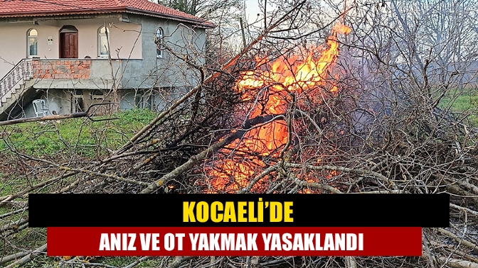 Kocaeli’de anız ve ot yakmak yasaklandı