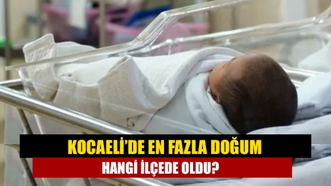 Kocaeli’de en fazla doğum hangi ilçede oldu?