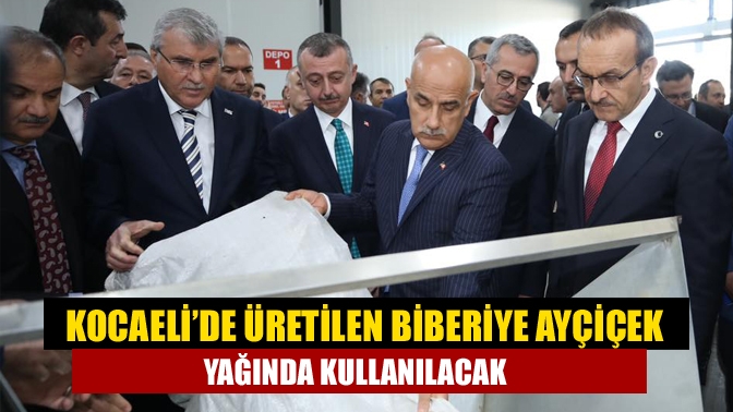 Kocaeli’de üretilen biberiye ayçiçek yağında kullanılacak