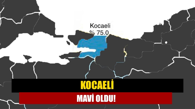 Kocaeli mavi oldu!