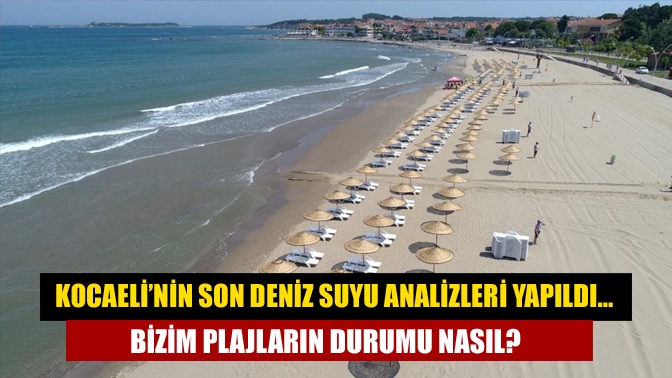 Kocaeli’nin son deniz suyu analizleri yapıldı… Bizim plajların durumu nasıl?