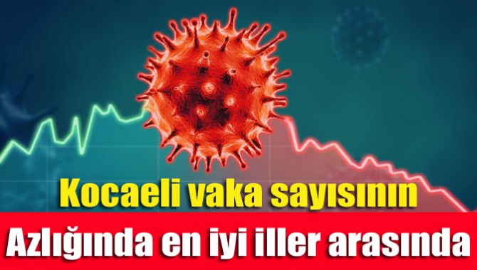 Kocaeli vaka sayısının azlığında en iyi iller arasında