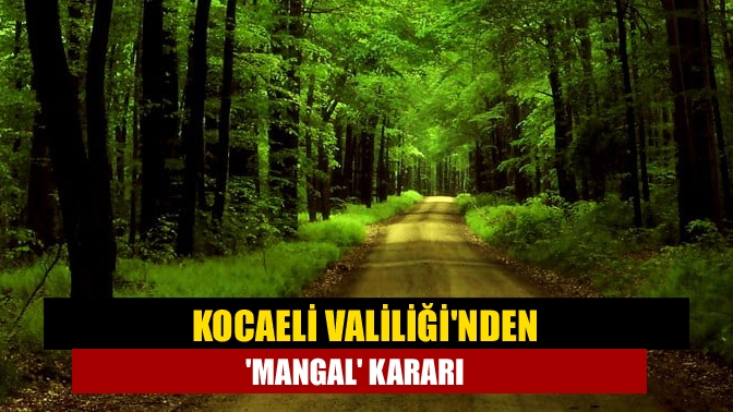 Kocaeli Valiliğinden mangal kararı