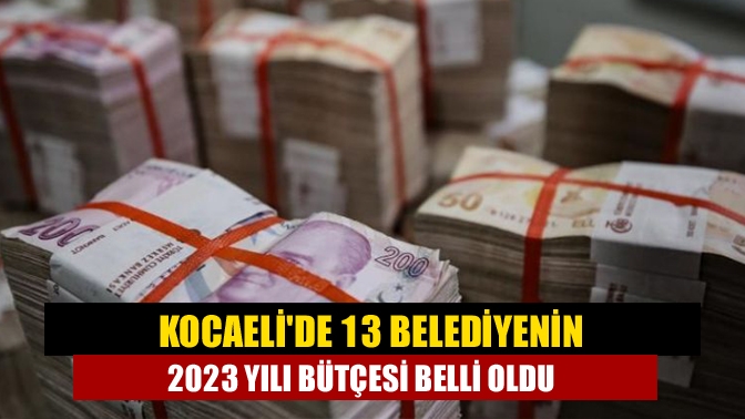 Kocaelide 13 belediyenin 2023 yılı bütçesi belli oldu