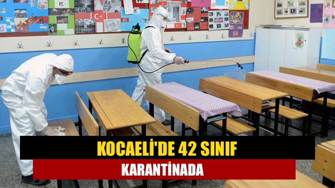 Kocaelide 42 sınıf karantinada