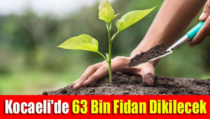 Kocaeli'de 63 bin fidan dikilecek