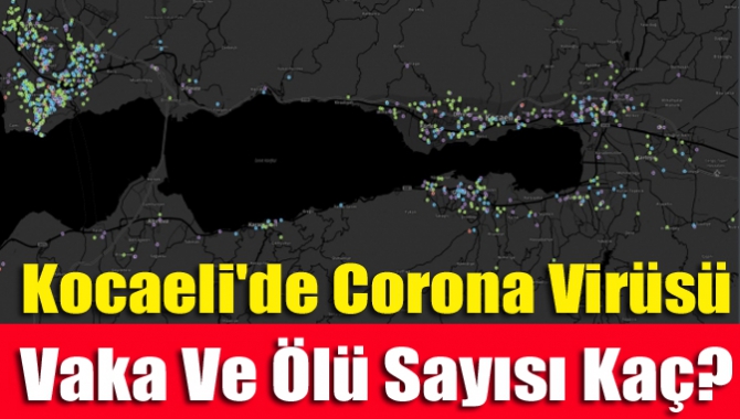 Kocaeli'de Corona Virüsü Vaka ve Ölü Sayısı Kaç?