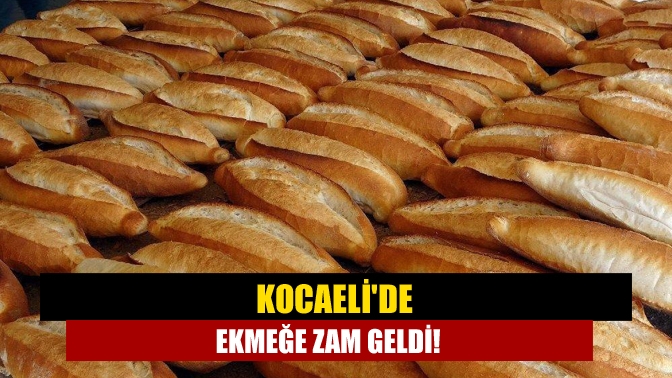 Kocaeli'de ekmeğe zam geldi!