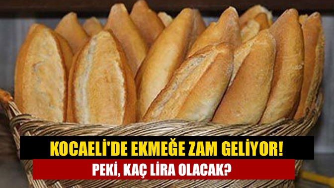 Kocaelide ekmeğe zam geliyor! Peki, kaç lira olacak?