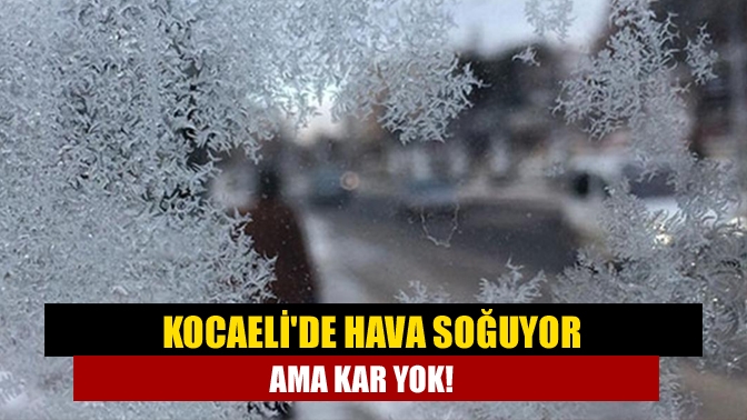 Kocaelide hava soğuyor ama kar yok!