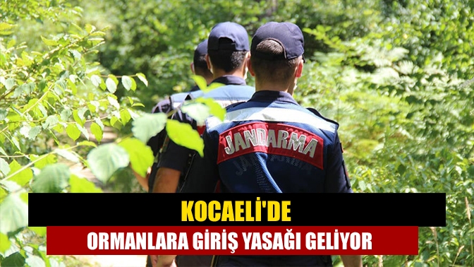 Kocaelide ormanlara giriş yasağı geliyor