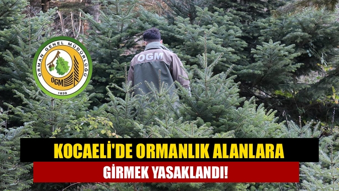 Kocaelide ormanlık alanlara girmek yasaklandı!