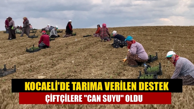 Kocaelide tarıma verilen destek çiftçilere can suyu oldu