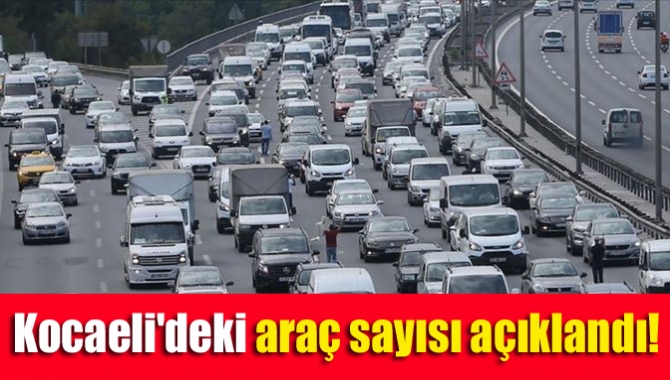 Kocaeli'deki araç sayısı açıklandı!