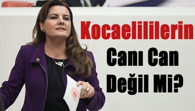 Kocaelililerin canı can değil mi?