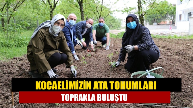 Ata tohumları toprakla buluştu