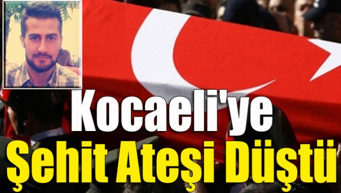 Kocaeli'ye şehit ateşi düştü