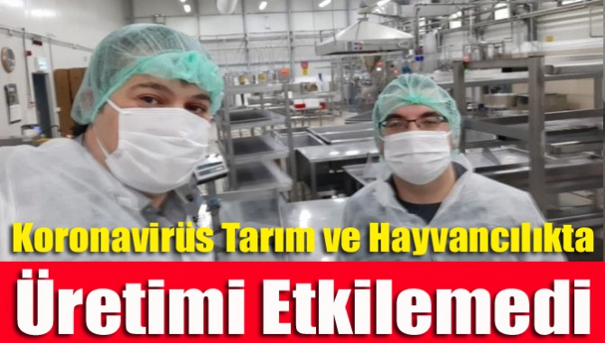 koronavirüs Tarım ve Hayvancılıkta Üretimi Etkilemedi