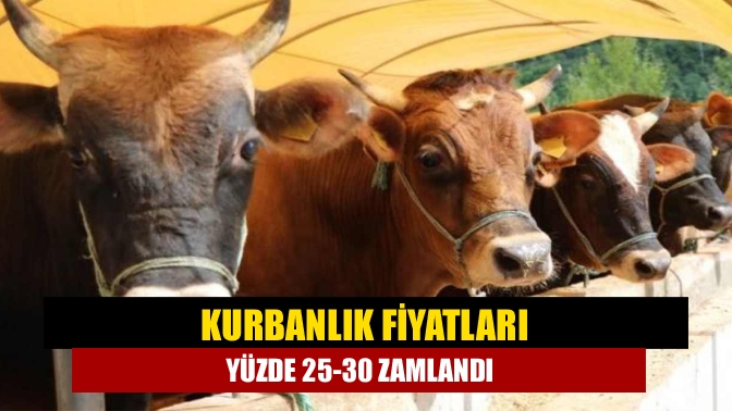 Kurbanlık fiyatları yüzde 25-30 zamlandı