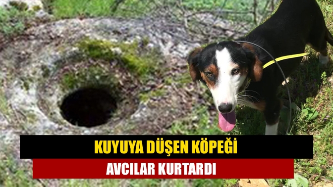 Kuyuya düşen köpeği avcılar kurtardı