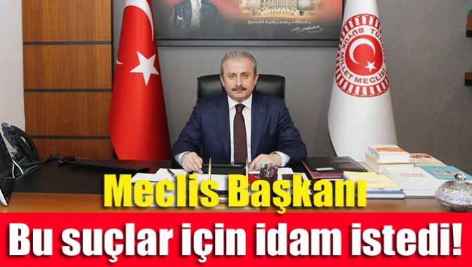 Meclis Başkanı bu suçlar için idam istedi!