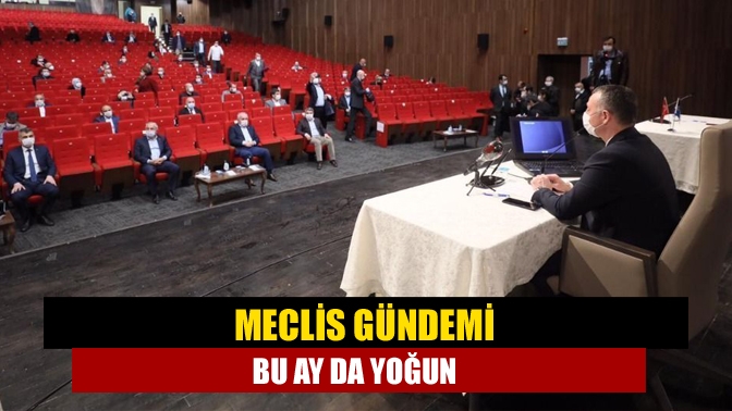 Meclis gündemi bu ay da yoğun