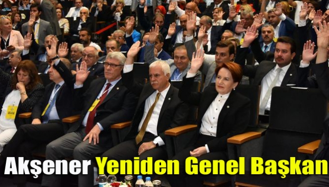 Meral Akşener yeniden genel başkan