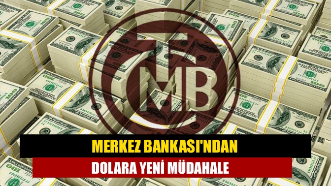 Merkez Bankasından dolara yeni müdahale