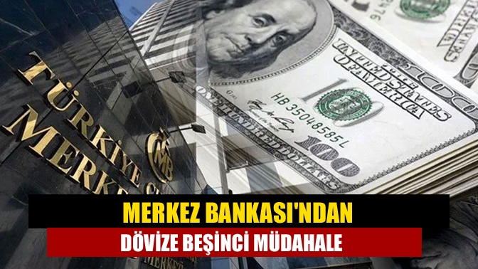 Merkez Bankasından dövize beşinci müdahale