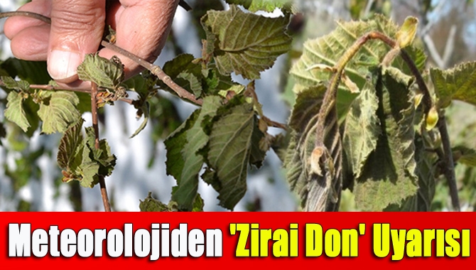 Meteorolojiden 'zirai don' uyarısı