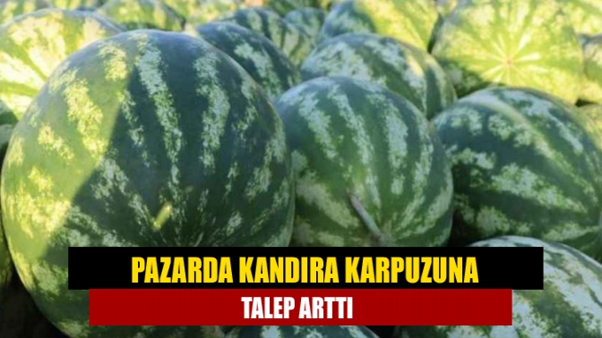 Pazarda Kandıra karpuzuna talep arttı