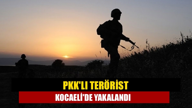 PKKlı terörist Kocaelide yakalandı