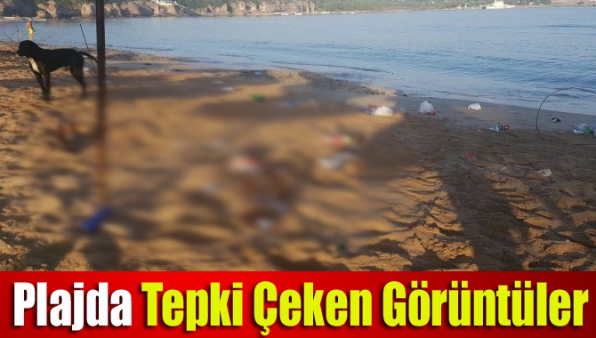 Plajda Tepki Çeken Görüntüler