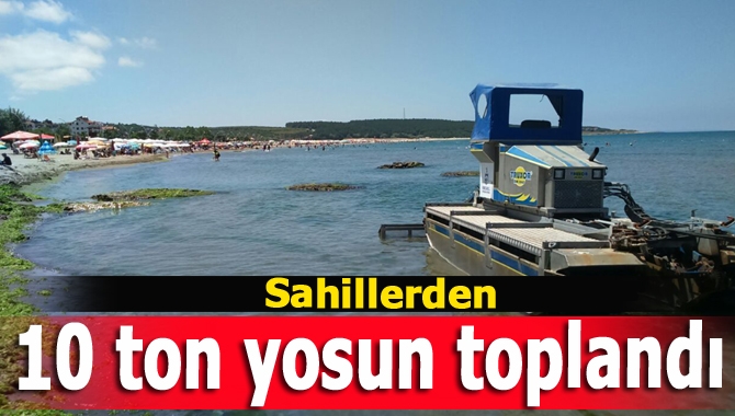 Sahillerden 10 ton yosun toplandı