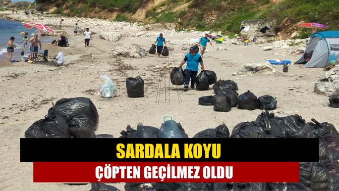 Sardala Koyu çöpten geçilmez oldu.