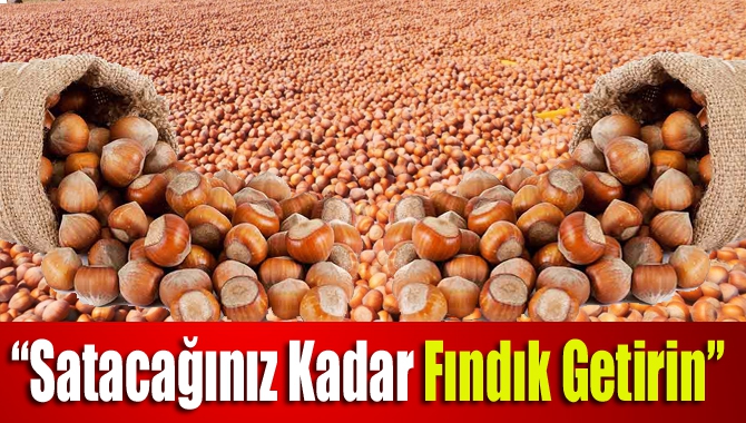 “Satacağınız kadar fındık getirin”