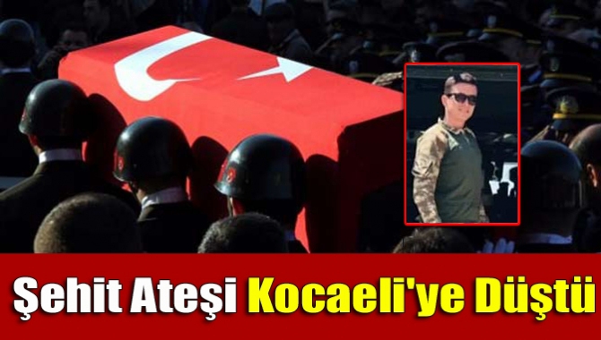 Şehit ateşi Kocaeli'ye düştü