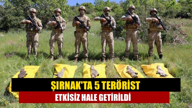 Şırnak'ta 5 terörist etkisiz hale getirildi