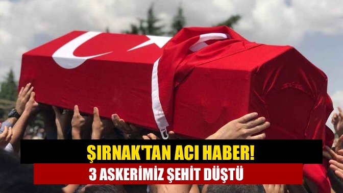 Şırnaktan acı haber! 3 askerimiz şehit düştü