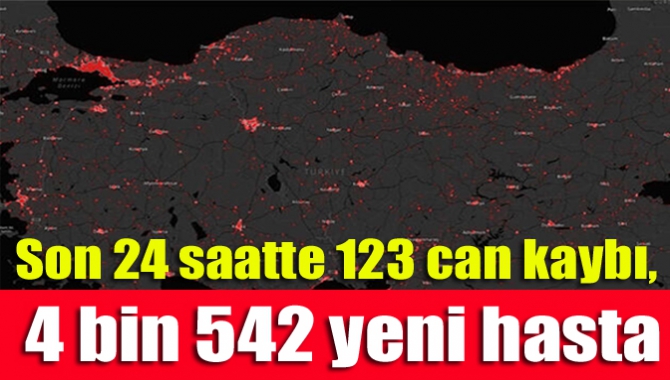 Son 24 saatte 123 can kaybı, 4 bin 542 yeni hasta