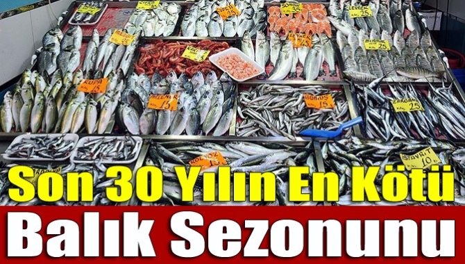 Son 30 yılın en kötü balık sezonunu