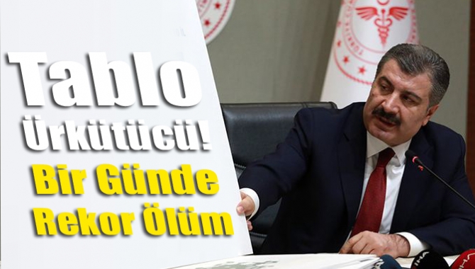 Tablo Ürkütücü! Bir Günde Rekor Ölüm