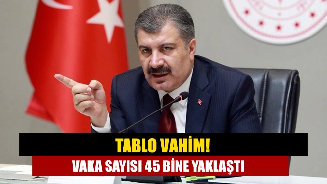 Tablo vahim! Vaka sayısı 45 bine yaklaştı