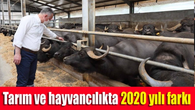 Tarım ve hayvancılıkta 2020 yılı farkı