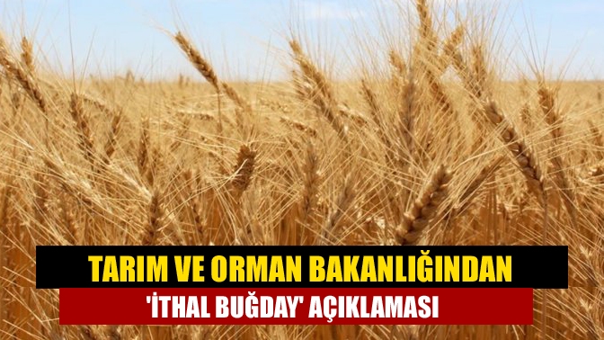 Tarım ve Orman Bakanlığından ithal buğday açıklaması