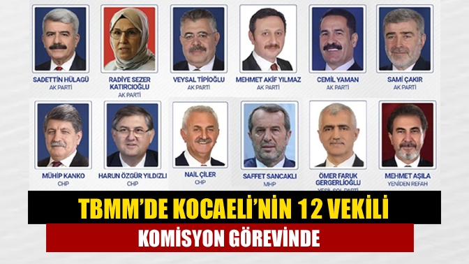 Kocaeli’nin 12 vekili komisyon görevinde