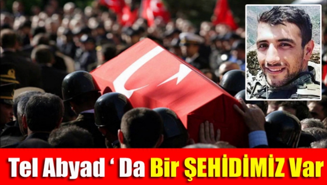 Tel Abyad ‘ Da Bir ŞEHİDİMİZ Var